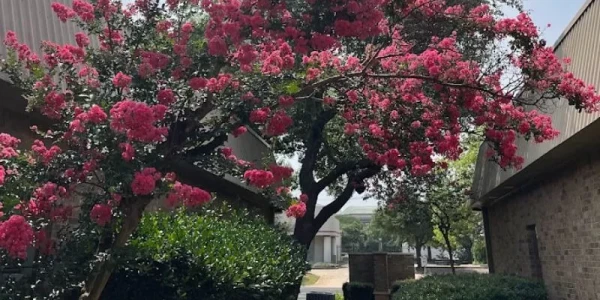 Anxiety Treatment Center of Austin